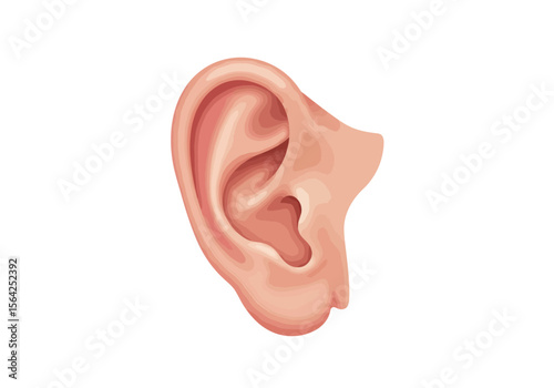 Detailed Illustration of a Human Ear Side View Showing Realistic Skin Texture and Anatomical Features.