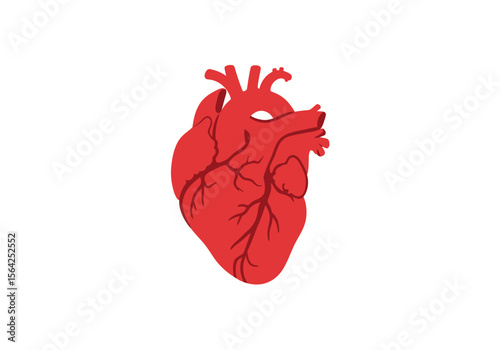 Stylized Red Human Heart Illustration with Detailed Veins and Arteries.