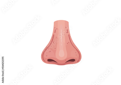Cartoon Human Nose Illustration with Pink Skin and Nostrils.