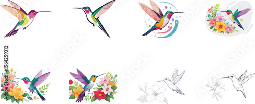 Hummingbird Vector Art – Flying Bird Line Drawing, Vintage & Minimal Designs
