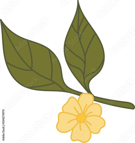 Summer Flower items hand drawn illustration