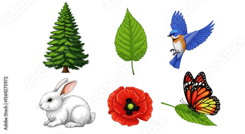 Illustration of a pine tree leaf bluebird rabbit poppy flower and monarch butterfly on white background