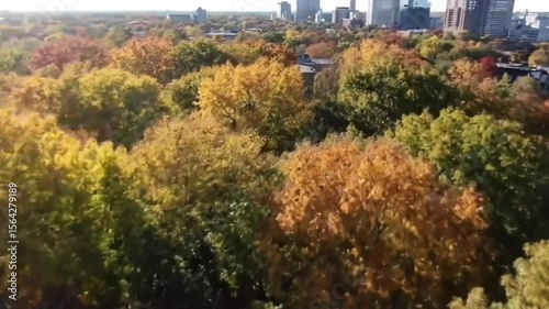 Autumn Trees Framing City Skyline – Aerial Animation of Fall Foliage and Urban Landscape