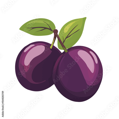My Simple flat 2D illustration of a icon plums isolated on a white background, vector 2D design, icon, flat 2d illustration art, My vector design