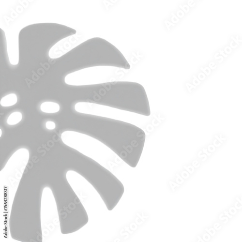 Light gray stylized monstera leaf graphic