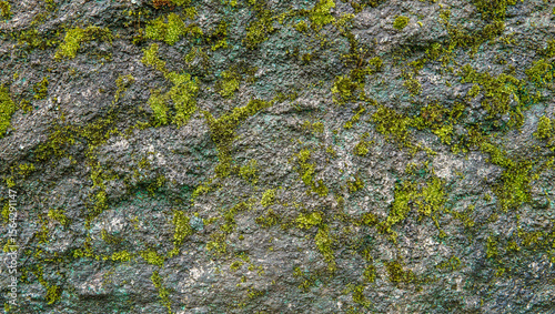 Valokuva Textured surface of stone covered in moss and lichen, creating a natural, raw background