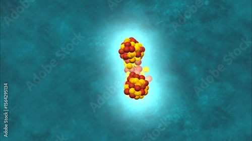 Induced fission chain reaction