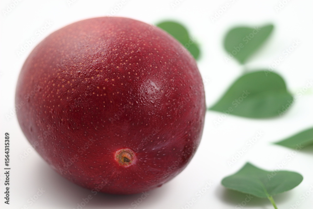 Fototapeta premium 白背景に映える完熟マンゴー