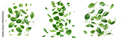Three green leaves falling against a transparent background
