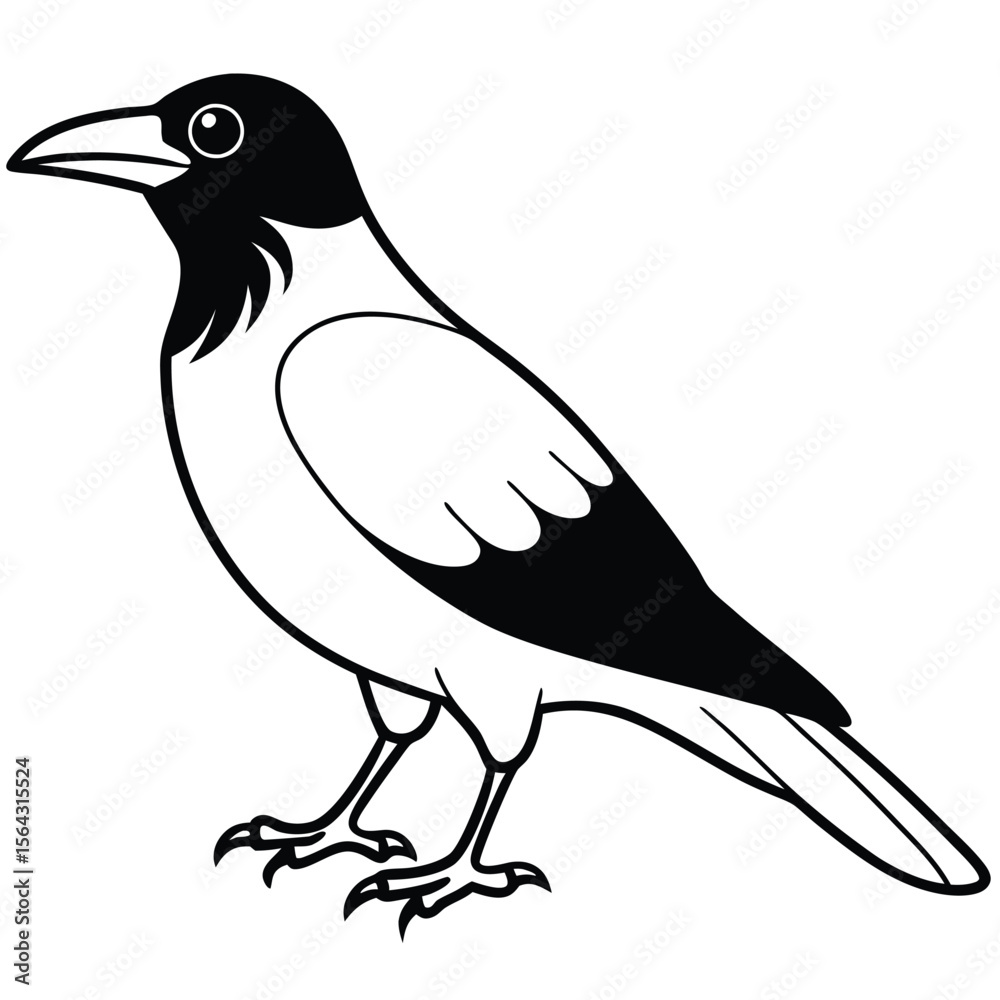Obraz premium Cute crow outline art illustration coloring page book for kids