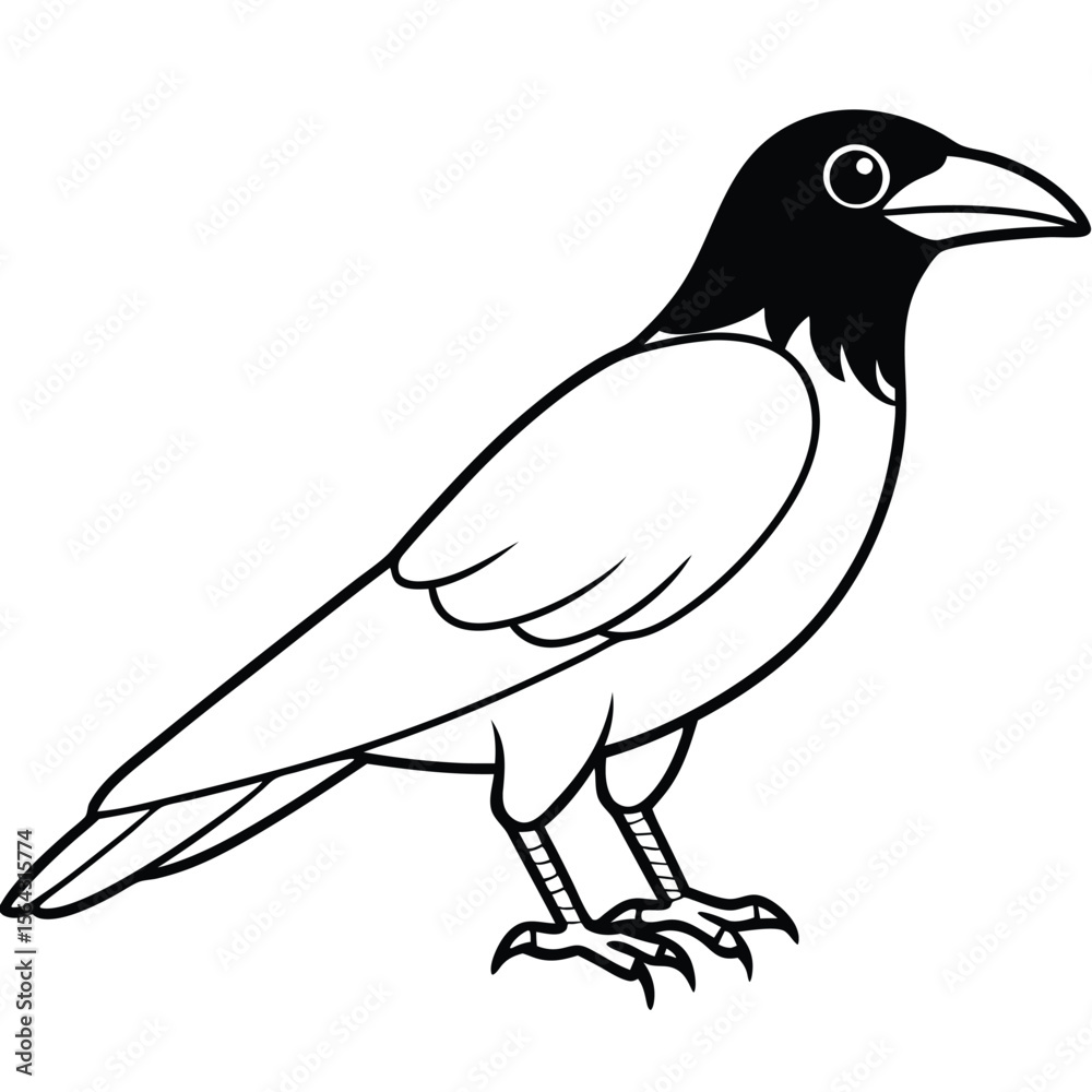 Obraz premium Cute crow outline art illustration coloring page book for kids