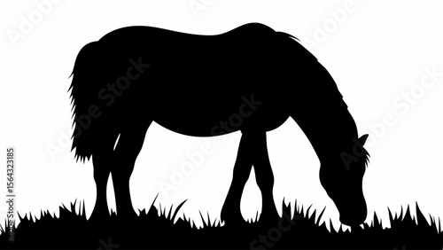 Silhouette of a horse grazing in a field of grass with its head down eating peacefully and quietly | editable eps vectors