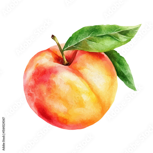 My Watercolor illustration with nectarine painting isolated on a white background, illustration, AI painting design, vector illustration set, eps format, My illustration