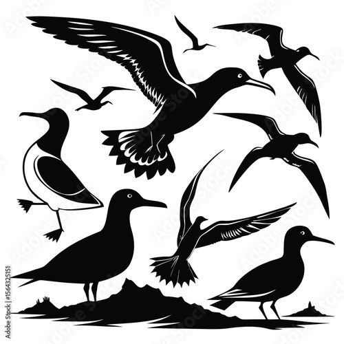 Collection of silhouetted seabirds in various poses demonstrating flight and perching ideal for nautical or wildlife designs