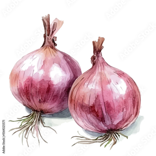 My Watercolor illustration with two violet onion painting isolated on a white background, illustration, AI painting design, vector illustration set, eps format, My illustration