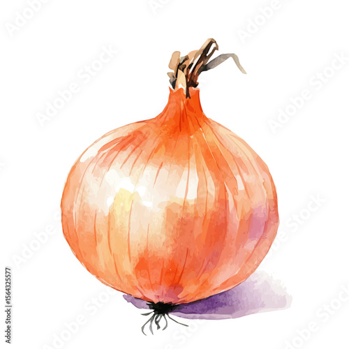 My Watercolor illustration with yellow onion painting isolated on a white background, illustration, AI painting design, vector illustration set, eps format, My illustration
