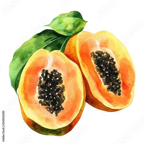My Watercolor illustration with papaya sliced painting isolated on a white background, illustration, AI painting design, vector set, eps format, My illustration design