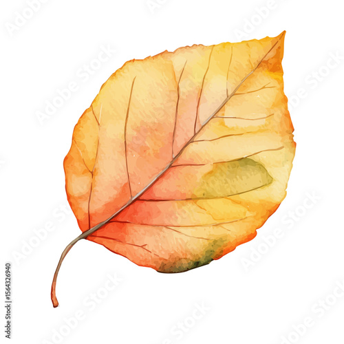 My Watercolor illustration with autumn leave painting isolated on a white background, illustration, AI painting design, vector set, eps format, My illustration design