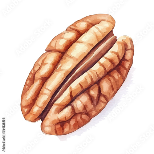 My Watercolor illustration with pecan painting isolated on a white background, illustration, AI painting design, vector set, eps format, My illustration design