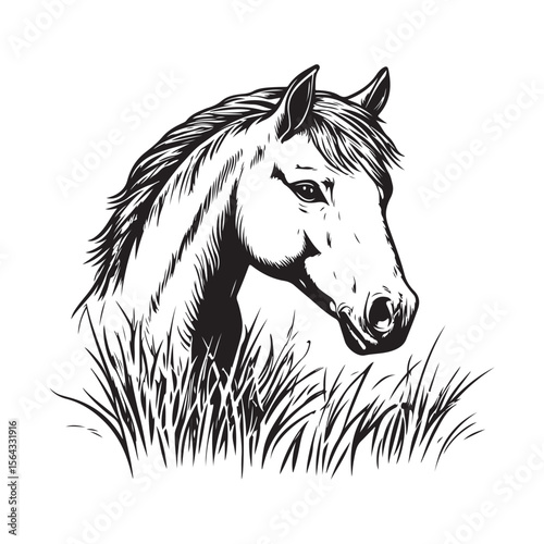 Cute Pony Grazing Calmly on the Lush Meadow Image Vector on white background.