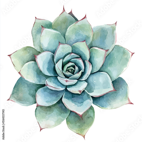 My Watercolor illustration with cactus painting isolated on a white background, illustration, AI painting design, vector set, eps format, My illustration design