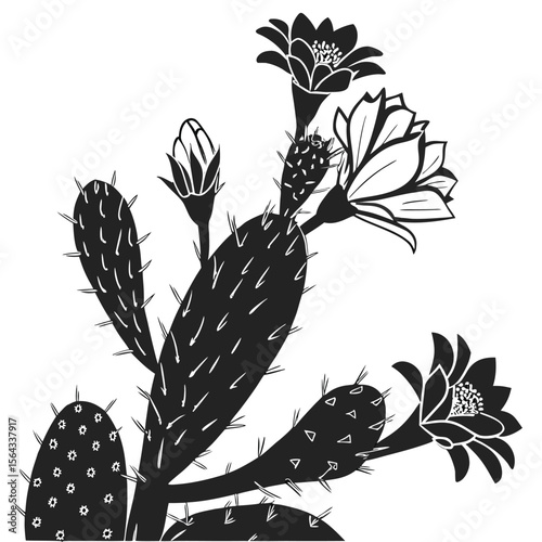 Elegant Black and White Cactus Botanical Illustration