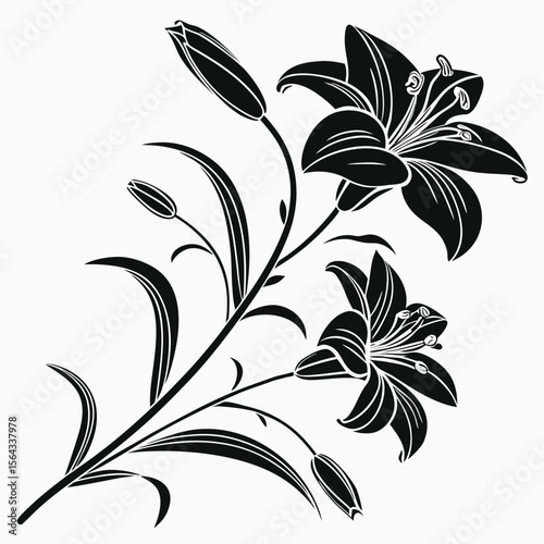 Elegant Black and White Lily Flower Illustration