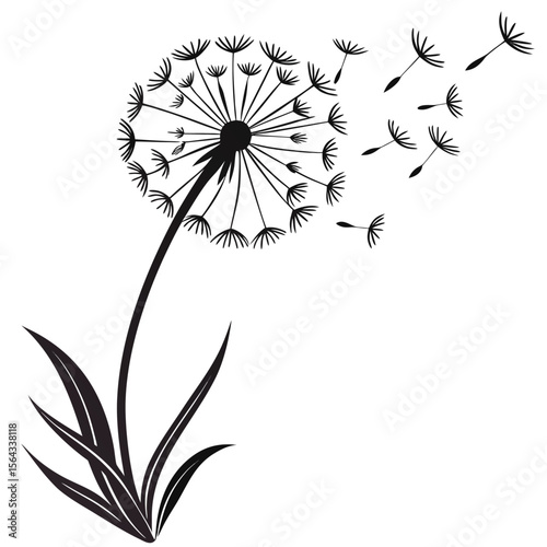 Elegant Dandelion Silhouette: Nature's Ephemeral Beauty