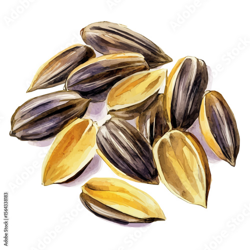 My Watercolor illustration with sunflower seeds painting isolated on a white background, illustration, AI painting design, vector set, eps format, My illustration design