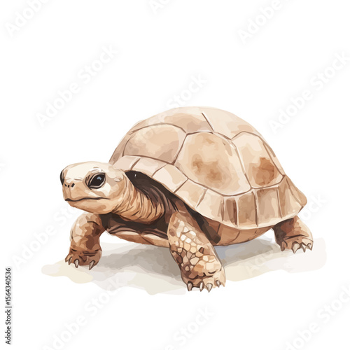 My Watercolor illustration with turtle painting isolated on a white background, illustration, AI painting design, vector set, eps format, My illustration design