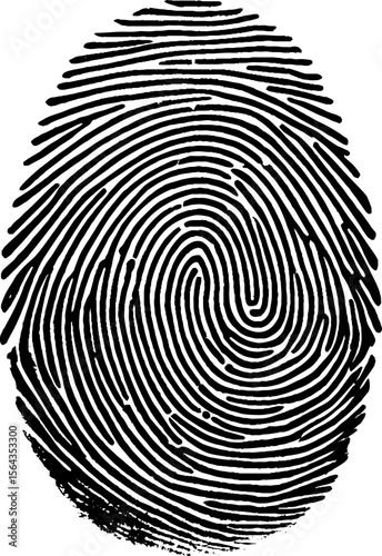 Vector format of finger print.