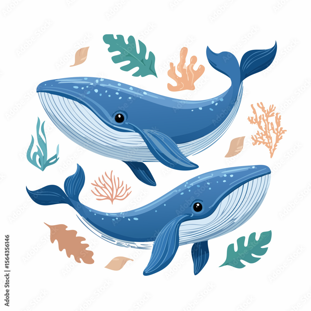 Obraz premium Sea Creature