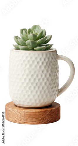 Ceramic coffee mug with green succulent plant on wooden stand against transparent background, ideal for design, branding, and business applications.
