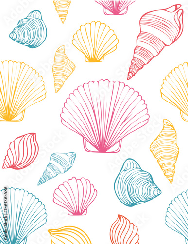 Various Seashells set. Different shapes. Outline modern style. 