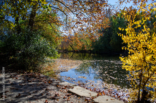 Beautiful Autumn Stream in the Park