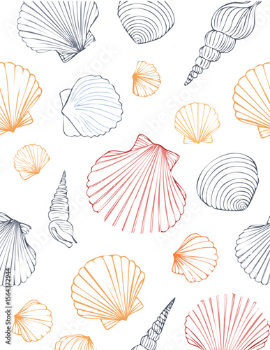 sea shells vector illustration