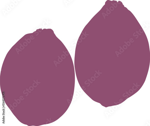 Two stylized purple dragon fruit shapes on a white background illustration depicting a fruit concept