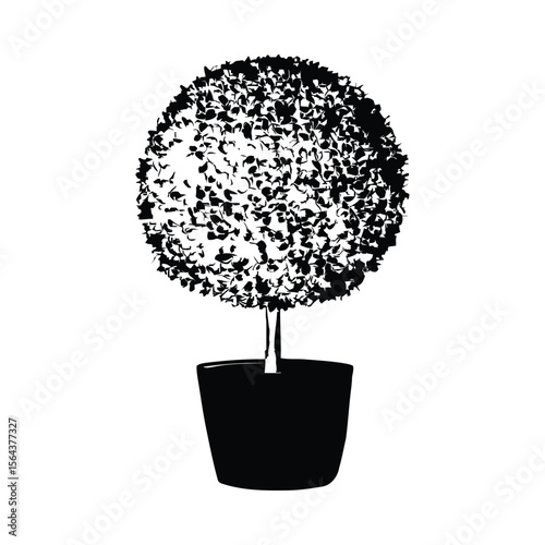 Black and white illustration of a topiary tree with a spherical crown in a pot against a white background 1