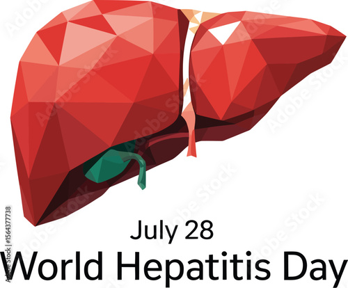 Stylized polygonal liver illustration for world hepatitis day on a clean white background