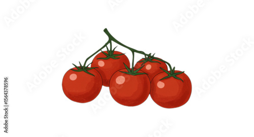 tomatoes isolated on white background