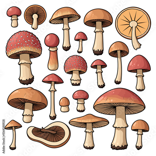 A colorful cartoon collection of various wild mushrooms, including Amanita muscaria, perfect for fairytale illustrations, fantasy game assets, or botanical art.
