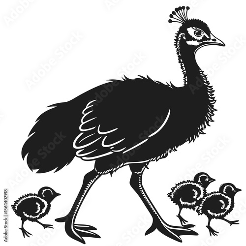 ostrich vector illustration