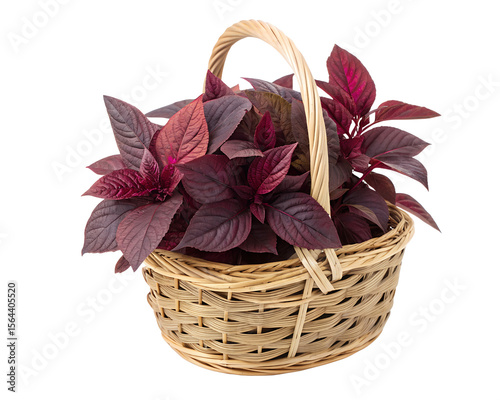 basket of red amaranth leaves