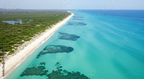Aerial view of a serene tropical beach with clear turquoise waters and lush green coastline