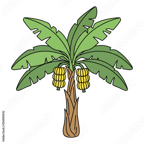 Banana tree with ripe yellow bananas, a tropical plant illustration depicting growth and fruitfulness in a vibrant natural setting.