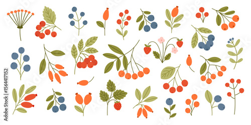 Set of wild and garden berries with flowers and leaves. Flat hand drawn vector illustration