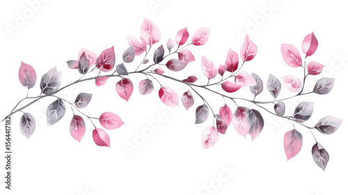 Watercolor illustration of pink and grey magnolia flowers with delicate petals isolated on white background