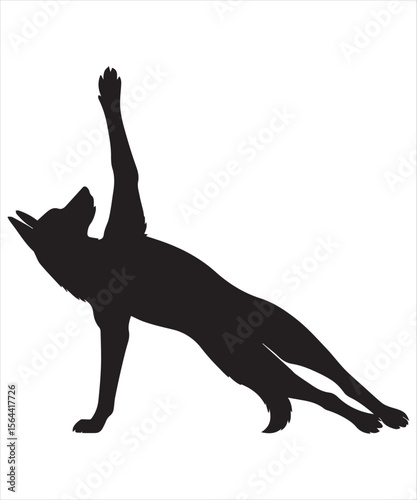 silhouette of a German Shepherd dog stretching its legs Funny Yoga
