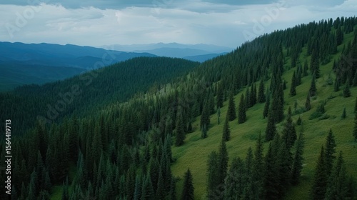 Majestic Mountain Vista, A Serene Landscape of Forested Peaks and Cloudy Skies
