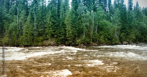 Brown river water is flowing through rapids with white foam in flat design, evergreen forest